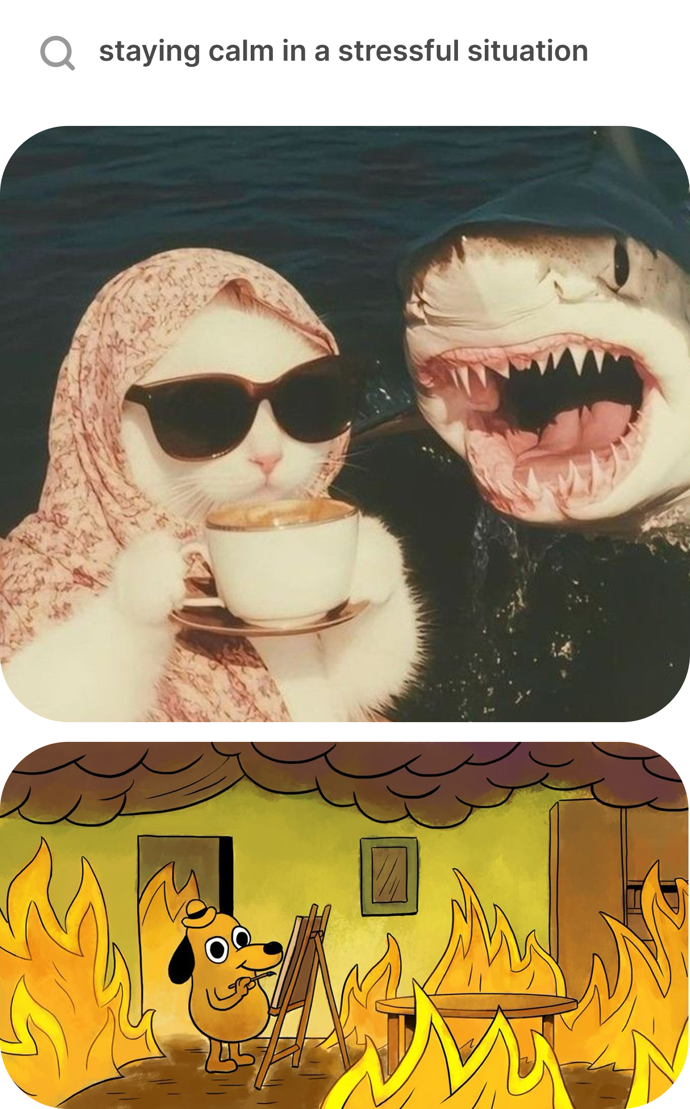 Meme ideas on demand